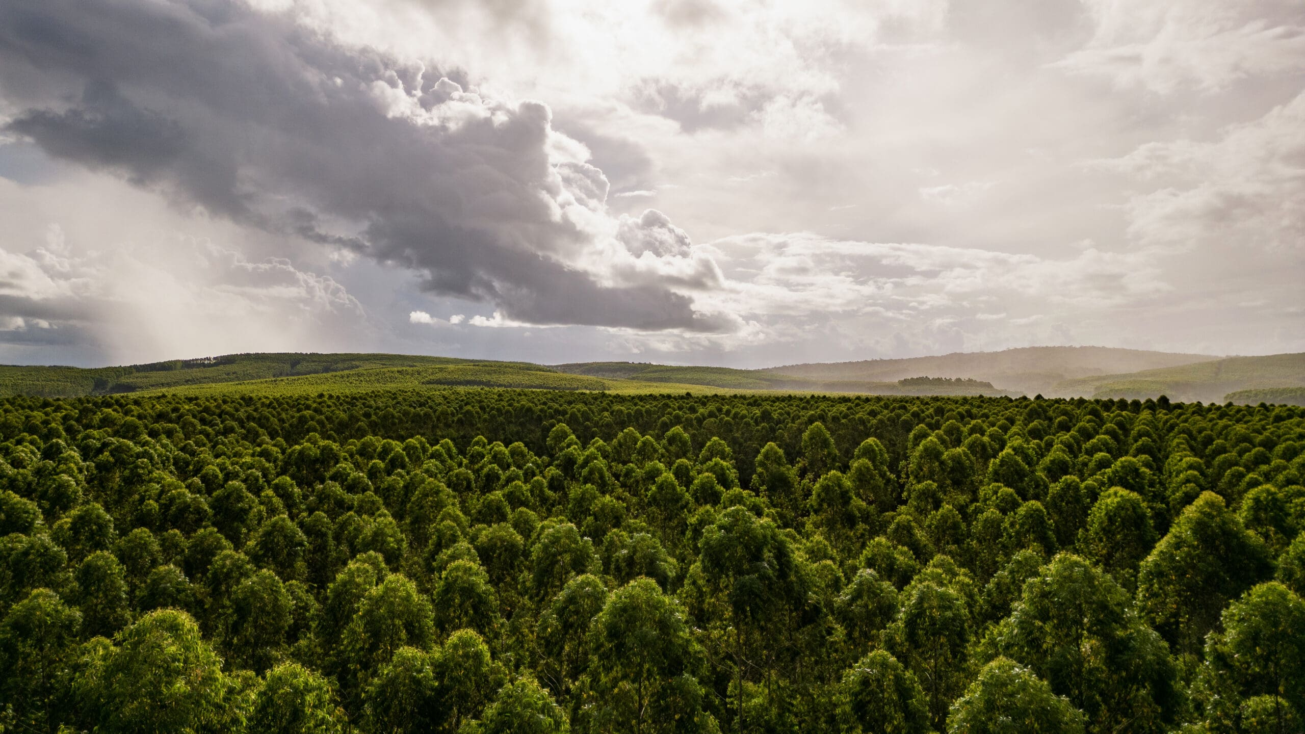 Transformamos passivos ambientais
em ativos climáticos