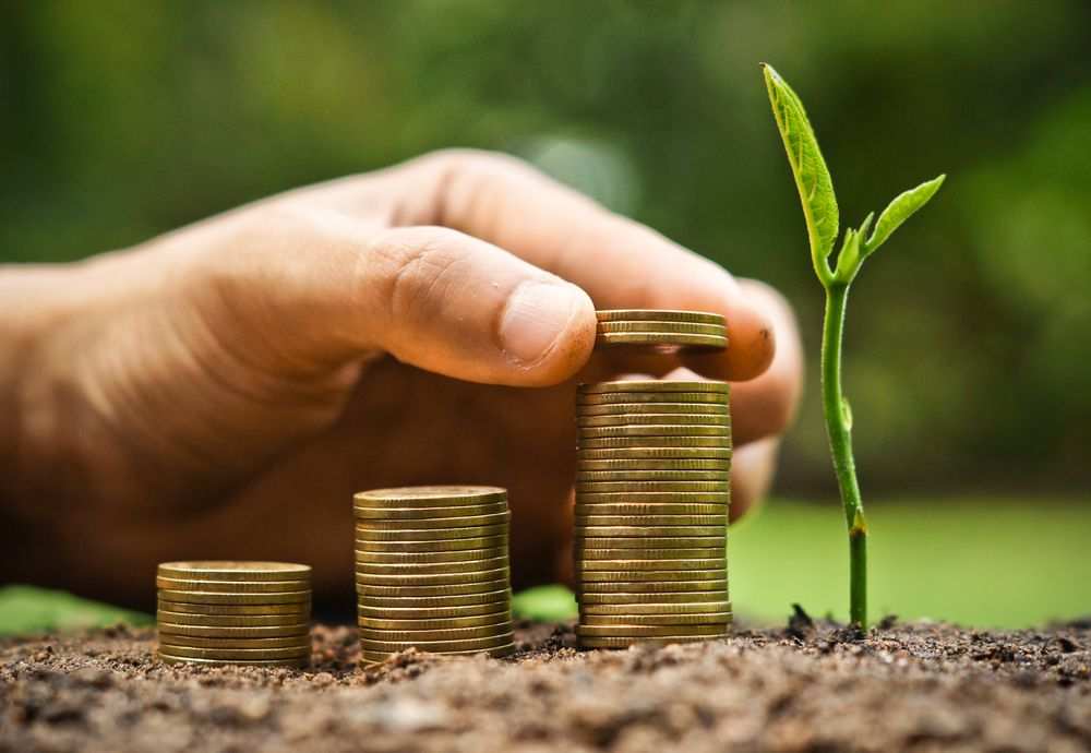 O mercado de crédito de carbono para as instituições financeiras