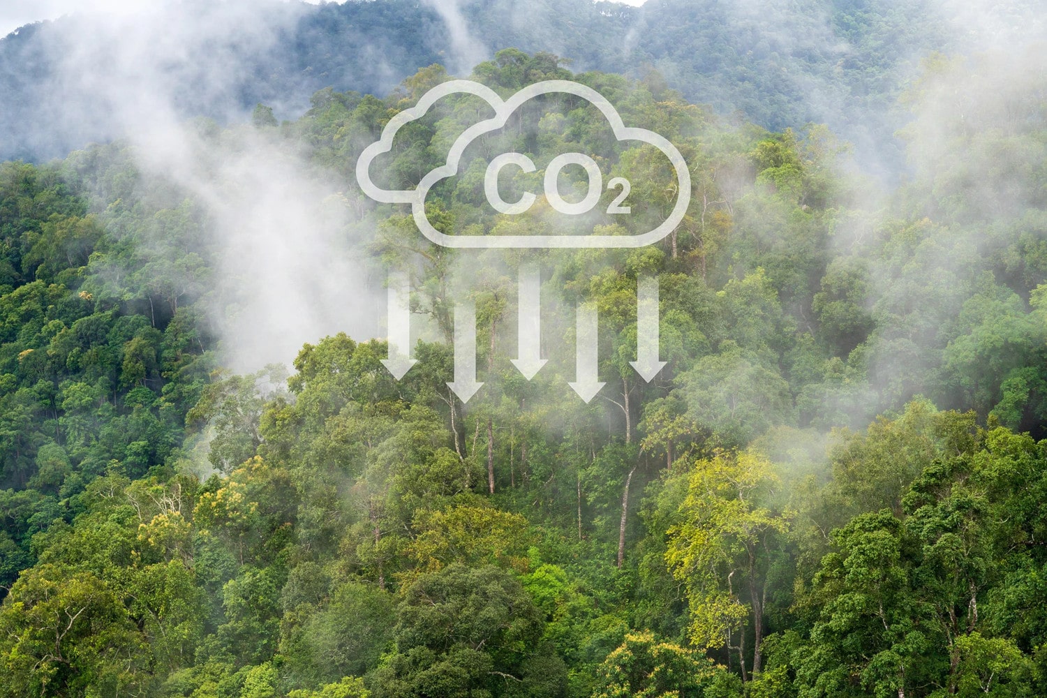 Mudanças Climáticas